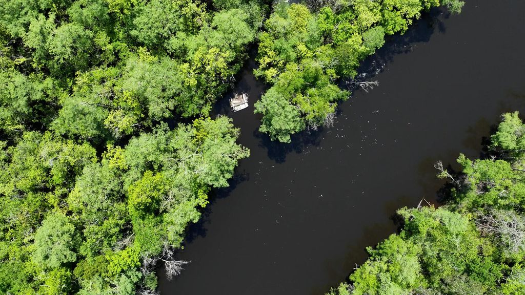 Photo of 7095 Parkers Ferry Road, Adams Run, SC 29426 (MLS # 25010492)