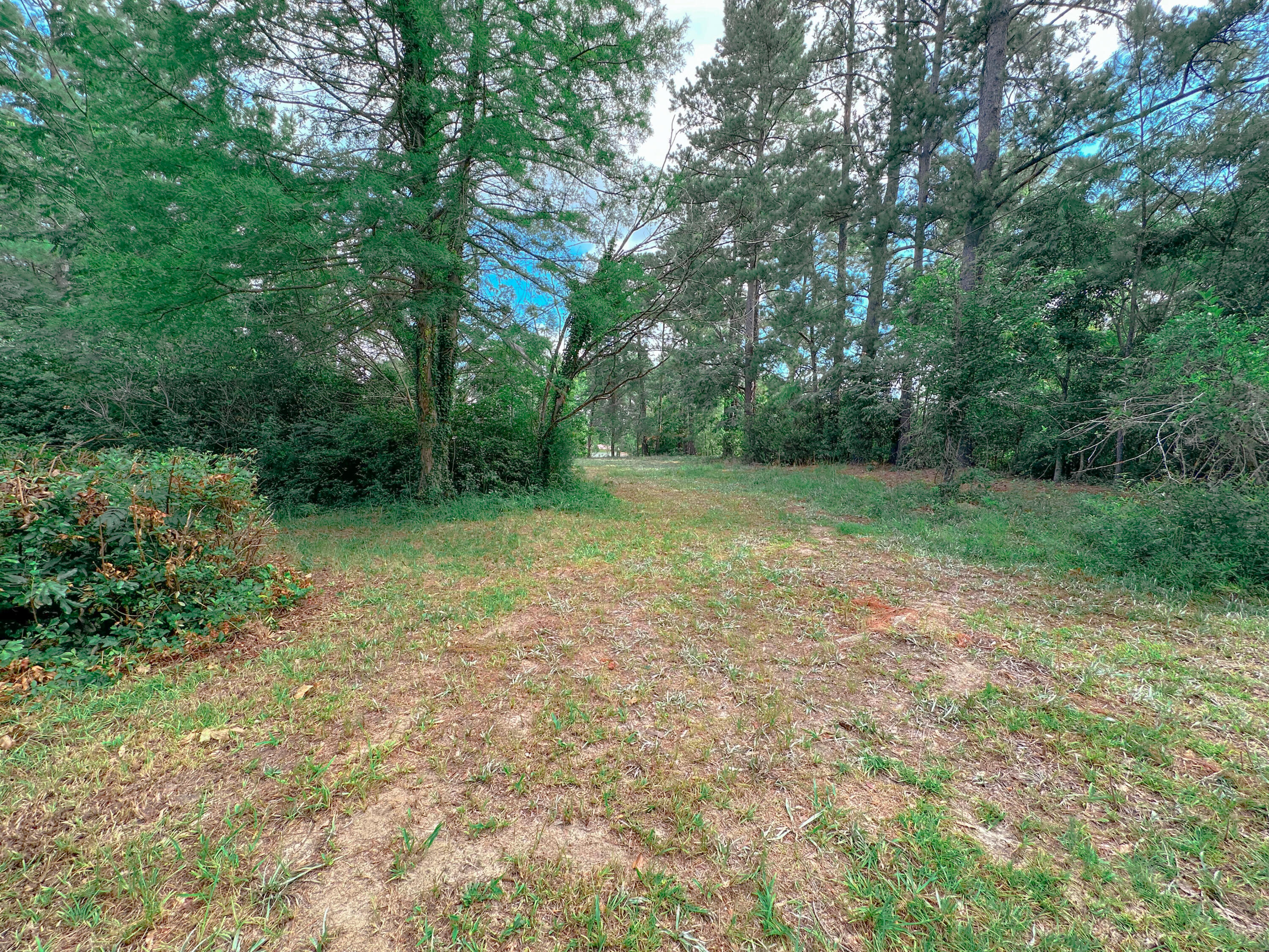 1311 Schurlknight Road