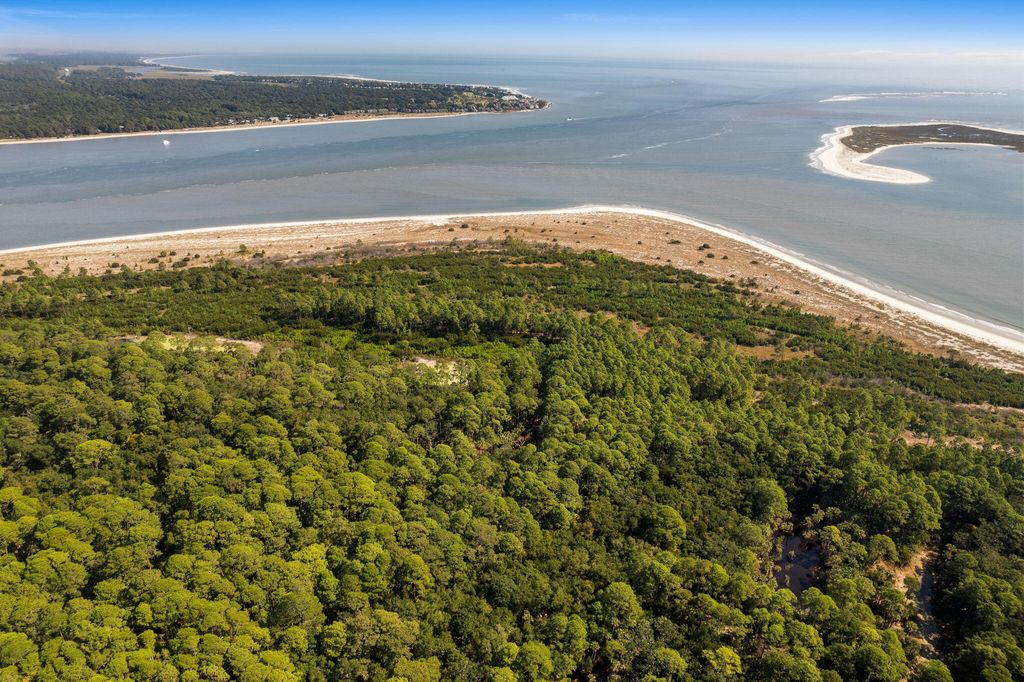 Photo of 10 Beachview Lane, Edisto Island, SC 29438 (MLS # 24027984)