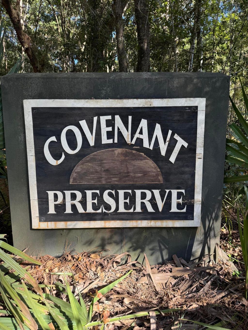 Photo of 746 Wilson Cemetery Road, Awendaw, SC 29429 (MLS # 25026981)