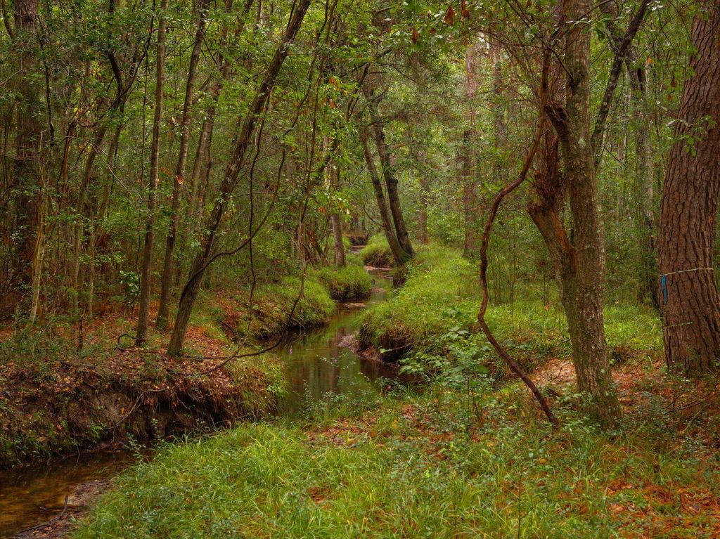 Photo of 746 Wilson Cemetery Road, Awendaw, SC 29429 (MLS # 25026981)