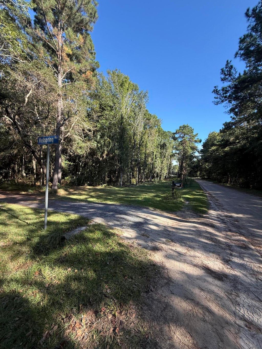 Photo of 746 Wilson Cemetery Road, Awendaw, SC 29429 (MLS # 25026981)
