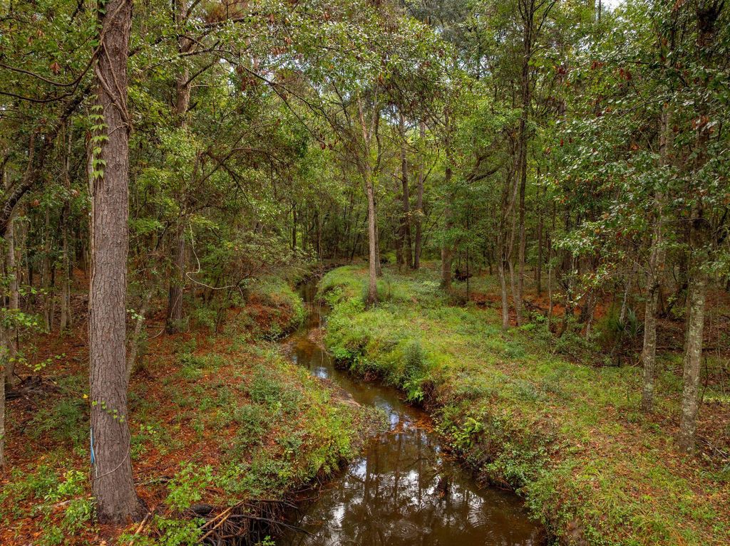 Photo of 746 Wilson Cemetery Road, Awendaw, SC 29429 (MLS # 25026981)