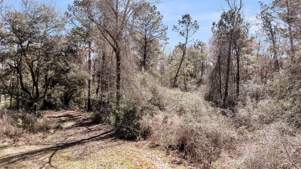 Photo of 7887 Mary Seabrook Road, Edisto Island, SC 29438 (MLS # 25006264)