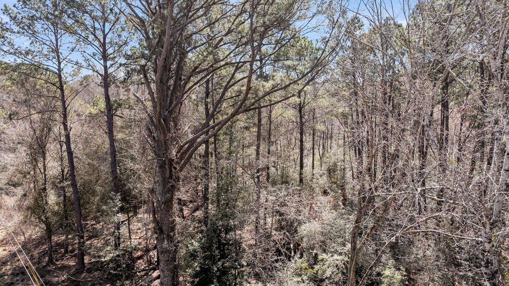 Photo of 7887 Mary Seabrook Road, Edisto Island, SC 29438 (MLS # 25006264)