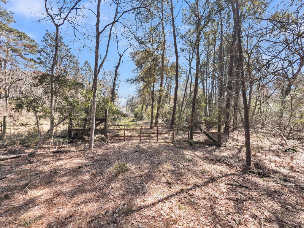 Photo of 7887 Mary Seabrook Road, Edisto Island, SC 29438 (MLS # 25006264)