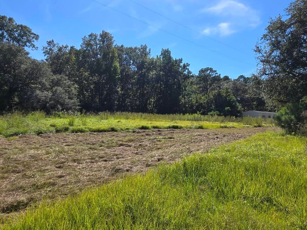 Photo of 487 Rectory Hill Road, Moncks Corner, SC 29461 (MLS # 26028048)