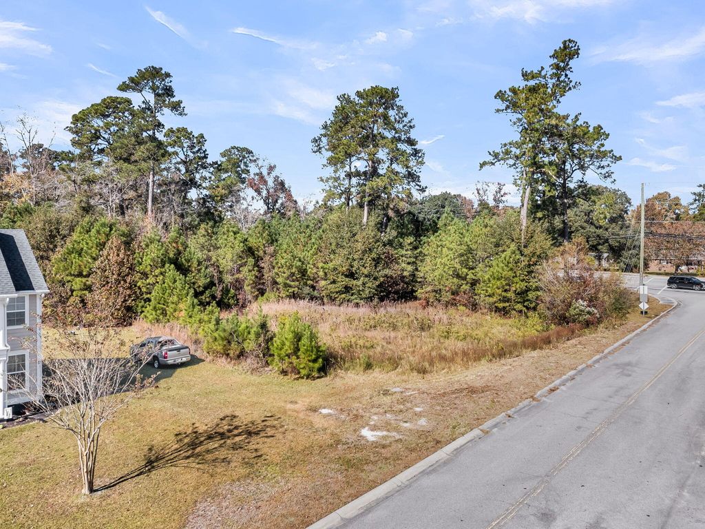Photo of 179 Tyvola Drive, Summerville, SC 29485 (MLS # 25030371)
