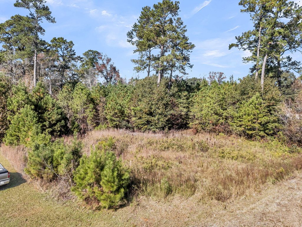 Photo of 179 Tyvola Drive, Summerville, SC 29485 (MLS # 25030371)