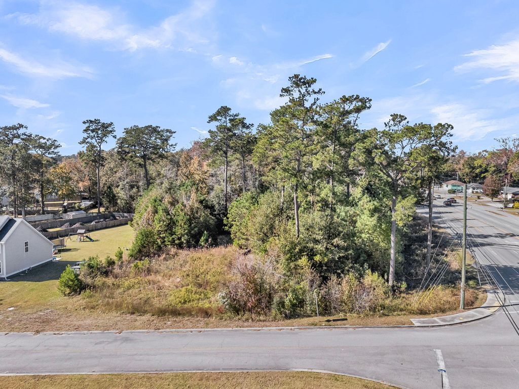 Photo of 179 Tyvola Drive, Summerville, SC 29485 (MLS # 25030371)