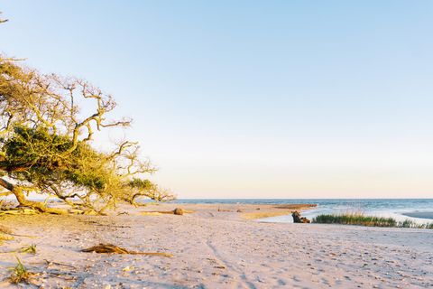 A home in Edisto Island