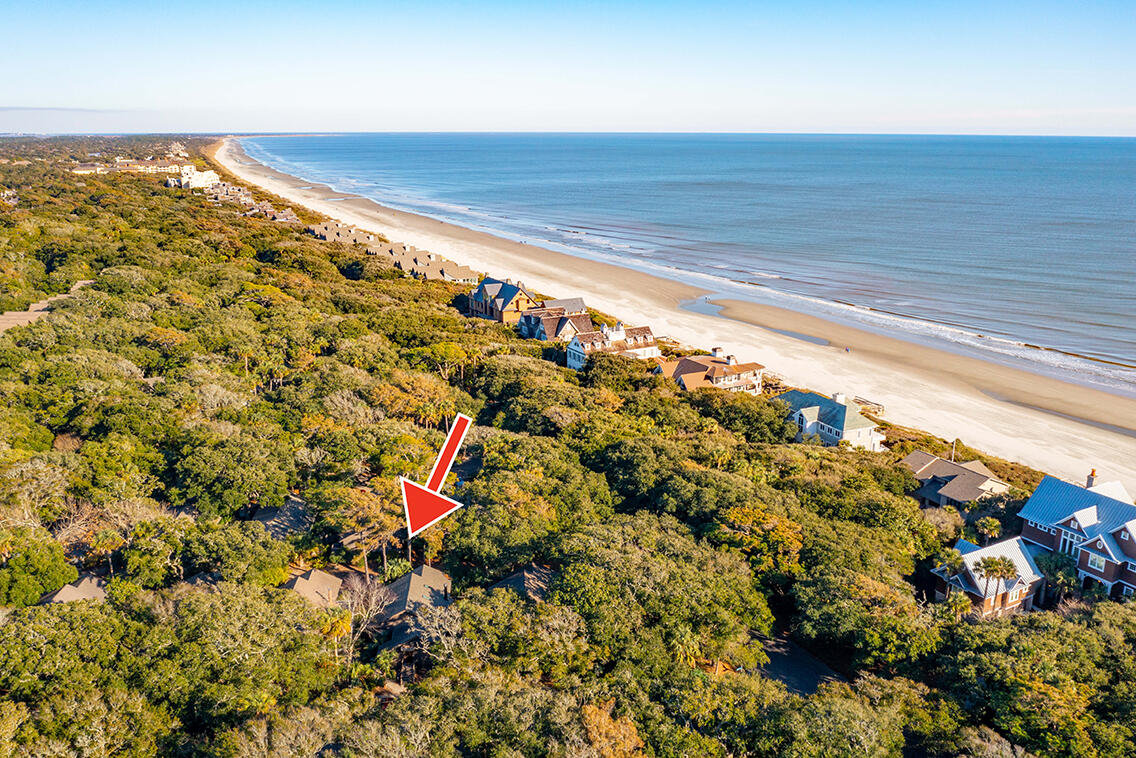 456 Vetch Court