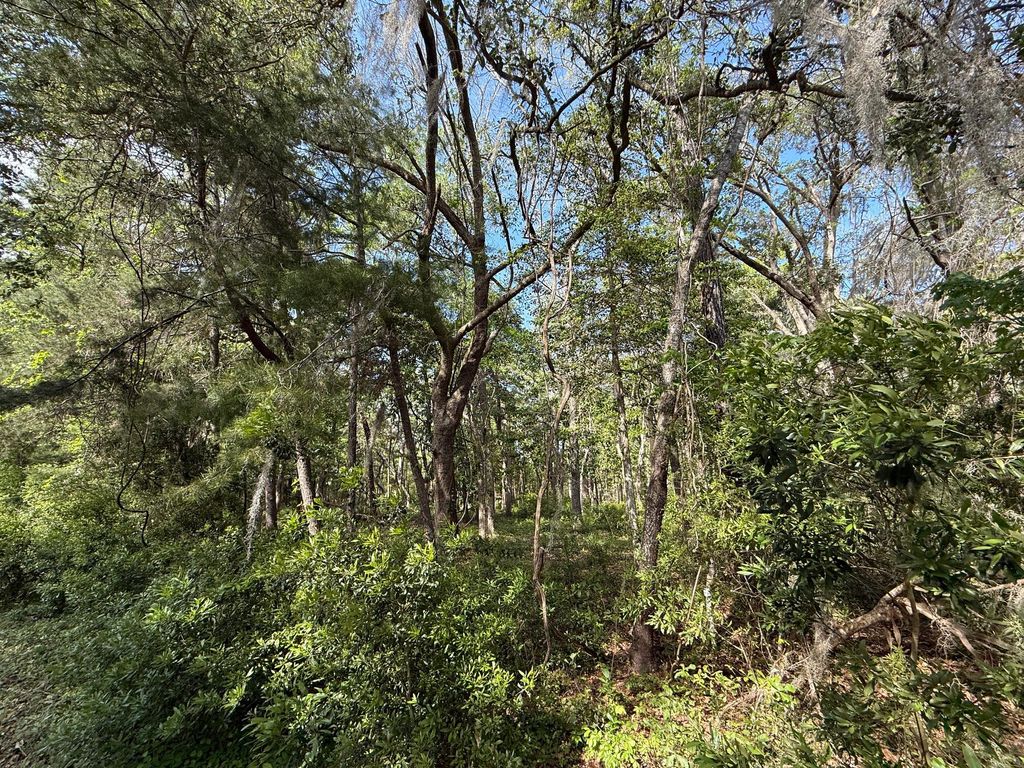 Photo of 0 Crawford Drive, Edisto Island, SC 29438 (MLS # 25010826)