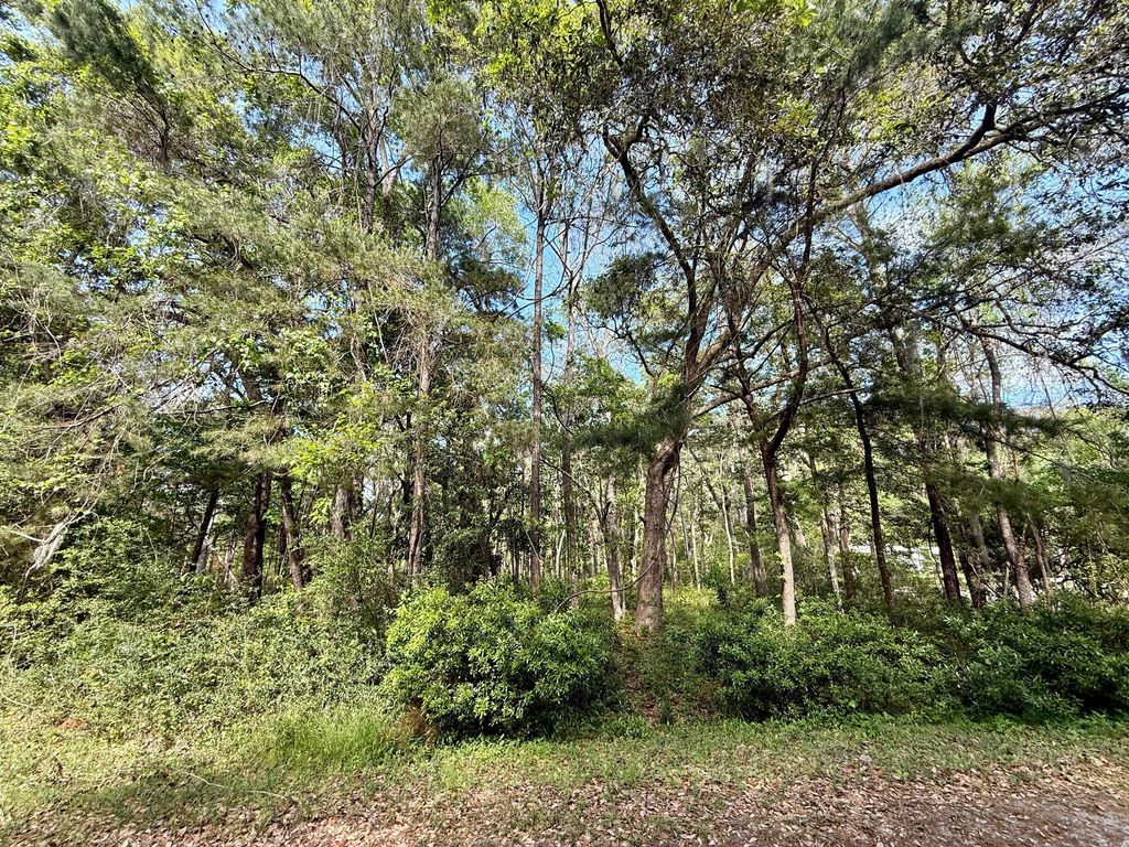 Photo of 0 Crawford Drive, Edisto Island, SC 29438 (MLS # 25010826)