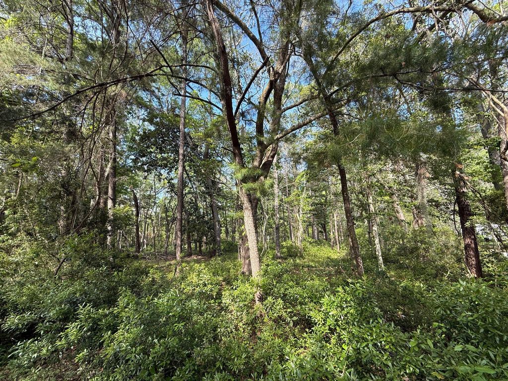 Photo of 0 Crawford Drive, Edisto Island, SC 29438 (MLS # 25010826)
