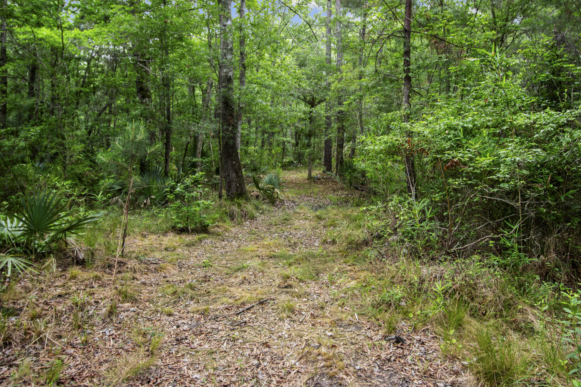 4848 Woodville Road
