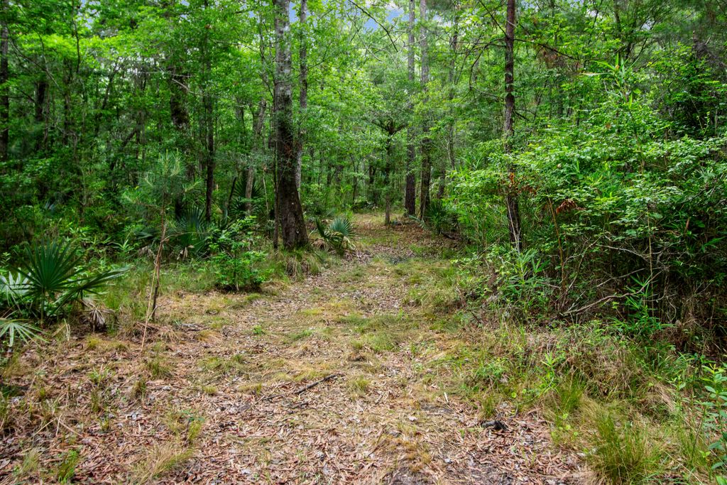Photo of 4848 Woodville Road, Awendaw, SC 29429 (MLS # 25020655)
