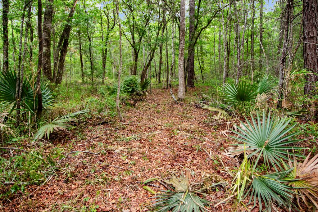 Photo of 4848 Woodville Road, Awendaw, SC 29429 (MLS # 25020655)
