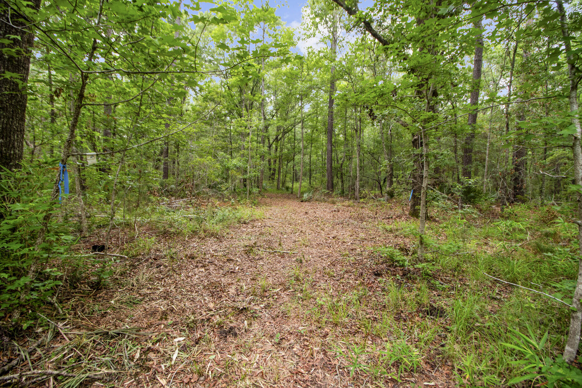 4848 Woodville Road