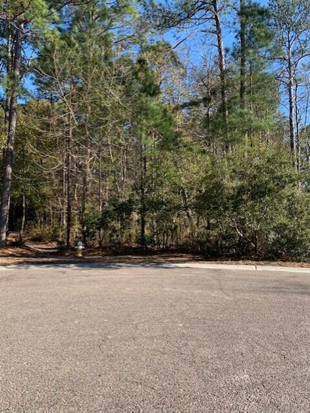 Photo of 1008 Poconos Court, Summerville, SC 29483 (MLS # 25001653)