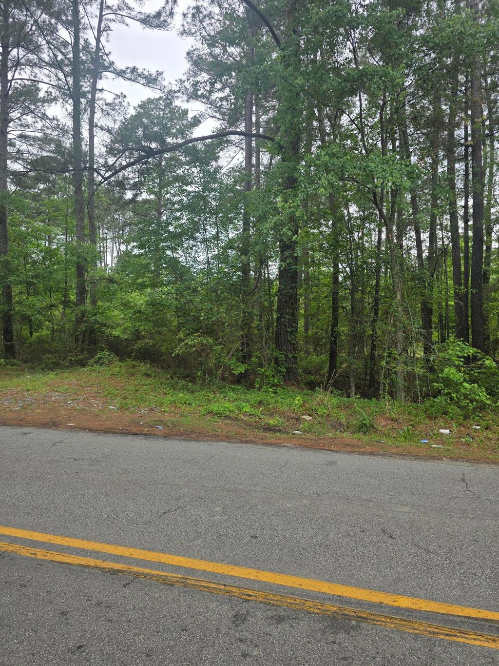 Photo of 0 Pete Ewers Drive, Summerville, SC 29483 (MLS # 26012785)
