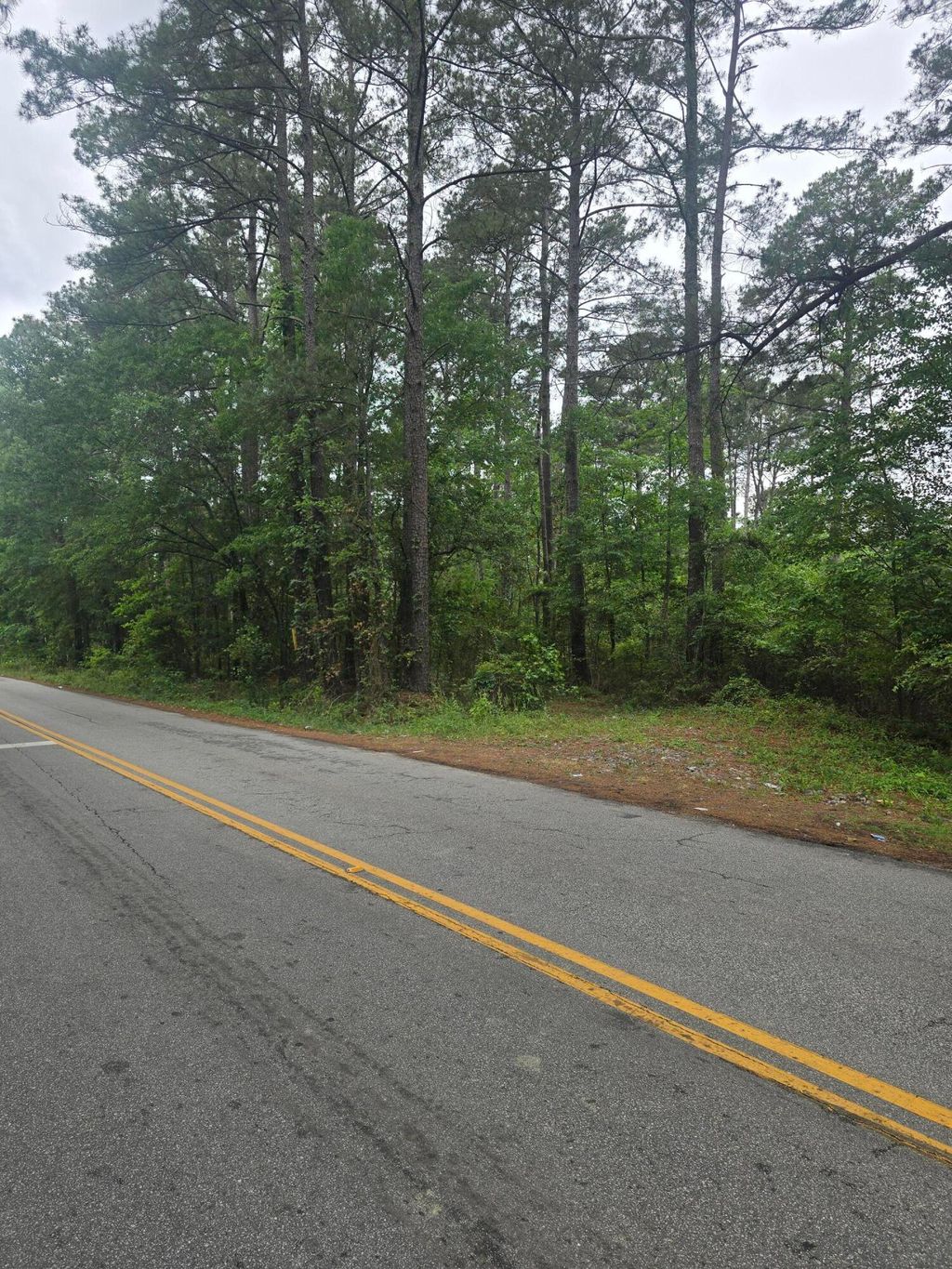 Photo of 0 Pete Ewers Drive, Summerville, SC 29483 (MLS # 26012785)