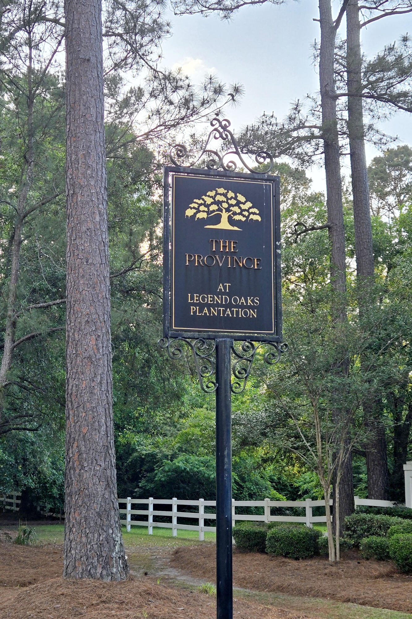 116 Marshside Drive