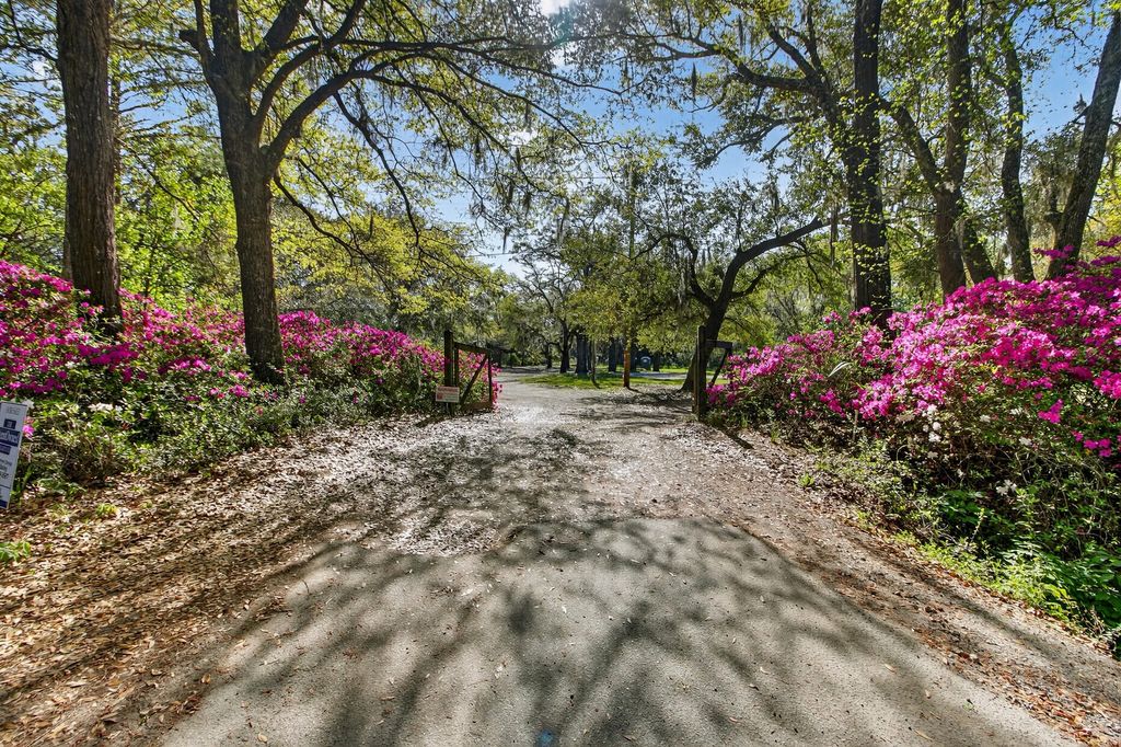 Photo of 2907 River Road, Johns Island, SC 29455 (MLS # 26008800)