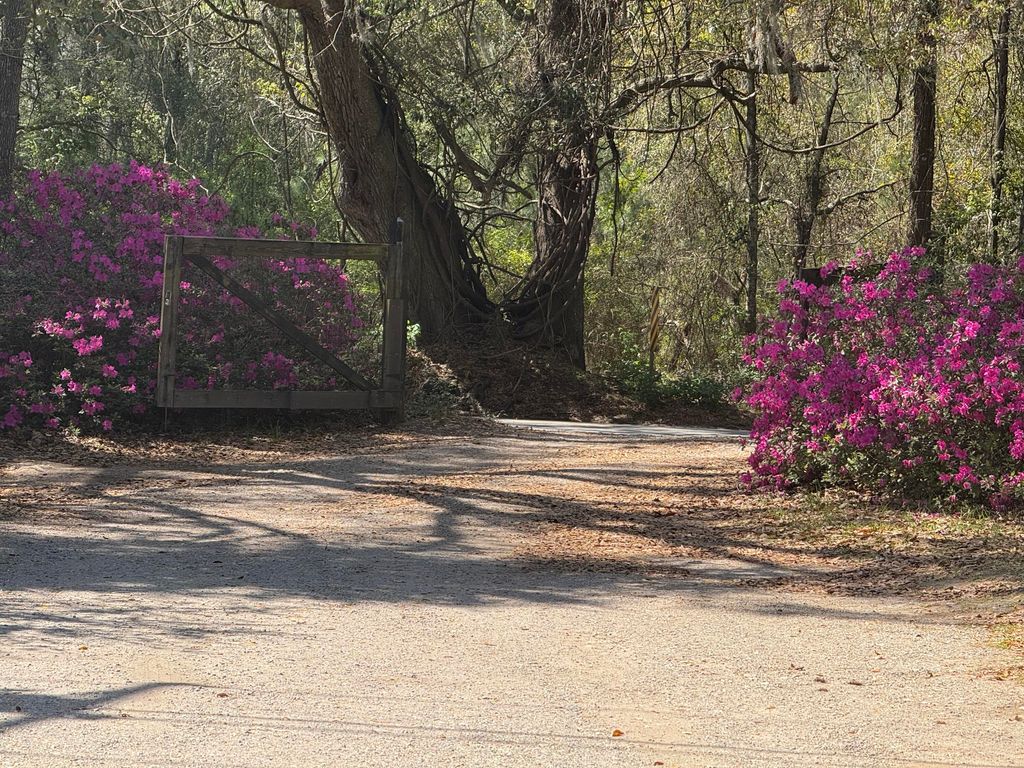 Photo of 2907 River Road, Johns Island, SC 29455 (MLS # 26008800)