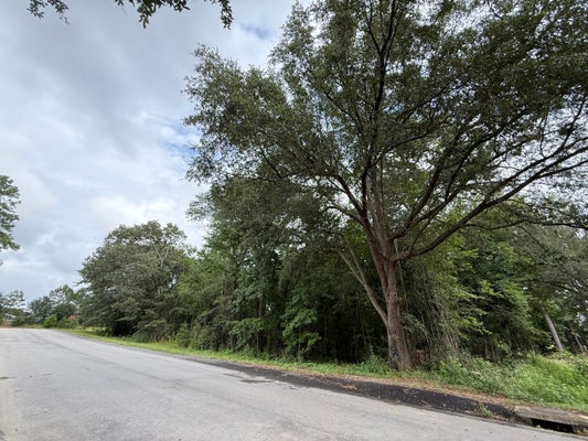 60 LIVE OAK LN, BARNWELL, SC 29812 - Image 706e736deffd620e9f56aad4f336151a/515913670