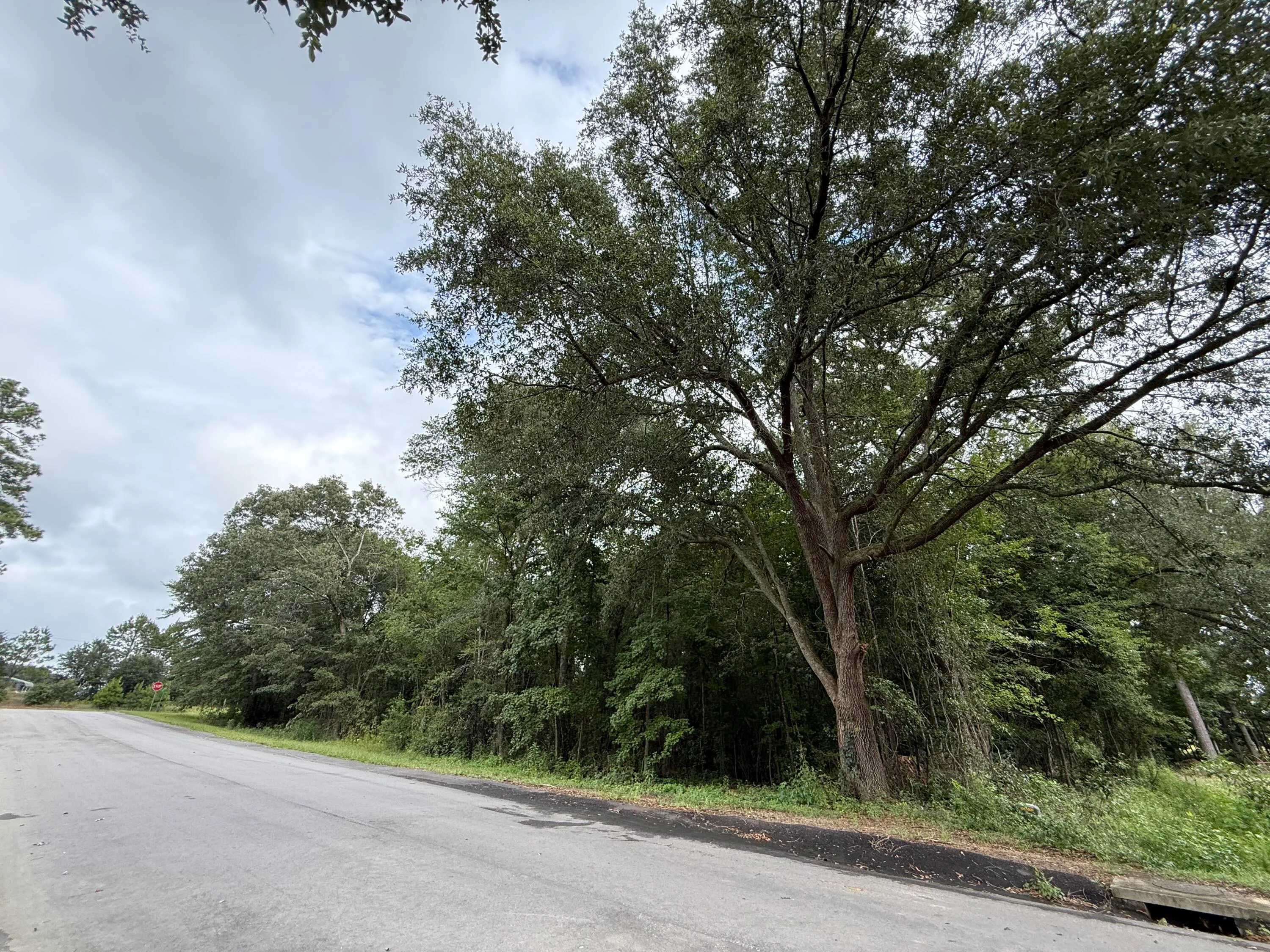 0000 Live Oak Lane, Barnwell, SC, 29812