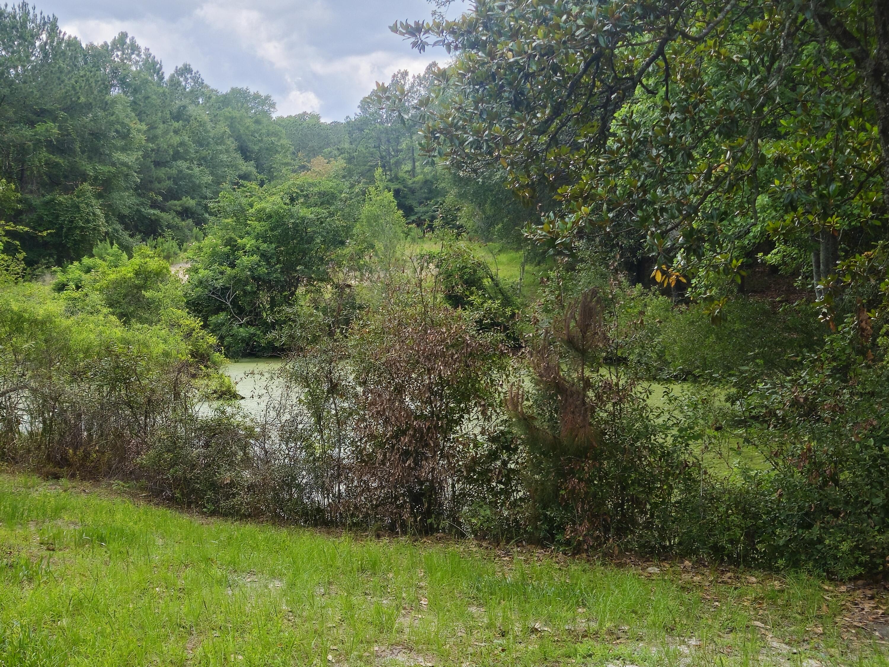 126 Rattlensnake Trail