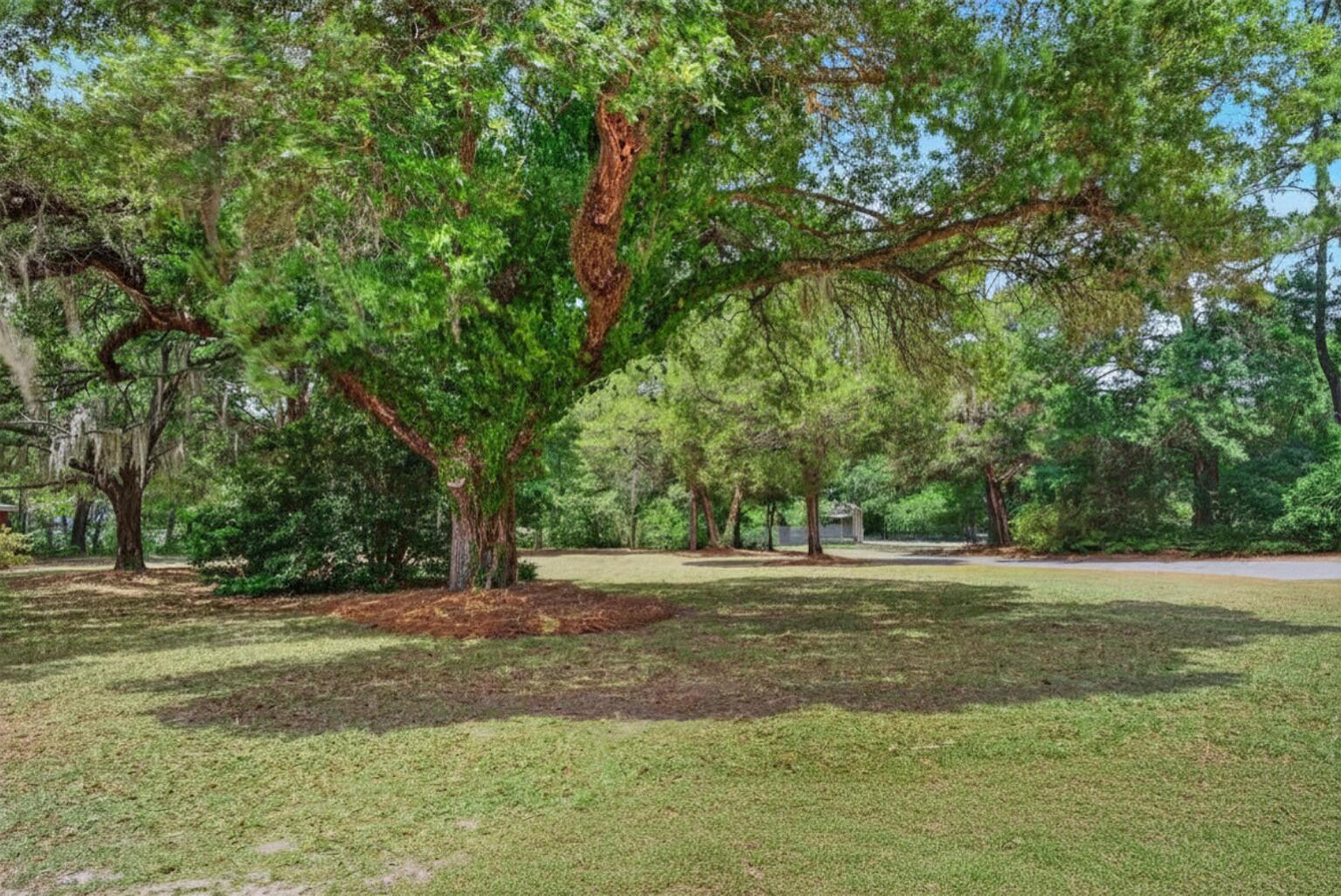 4421 Highway 162