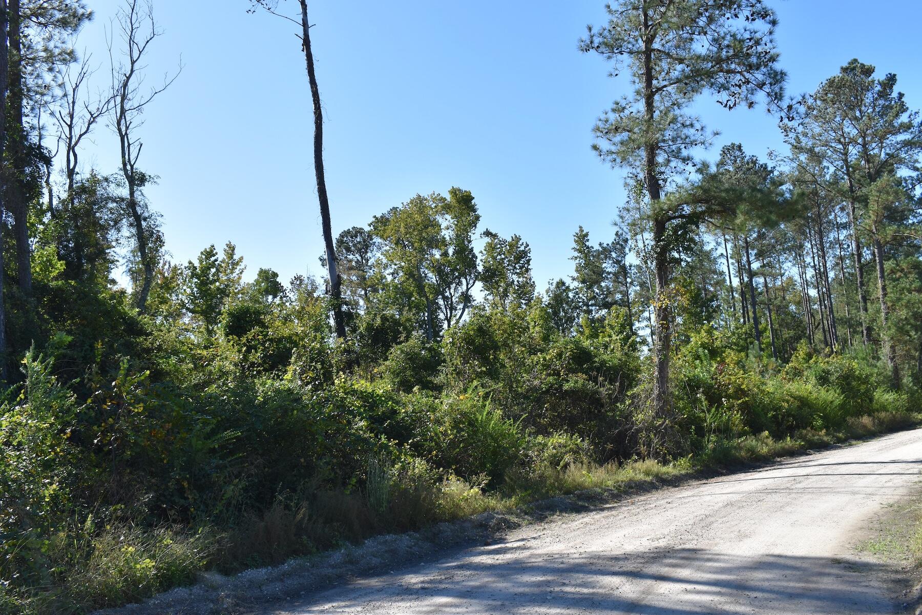 0000 Murdock Road