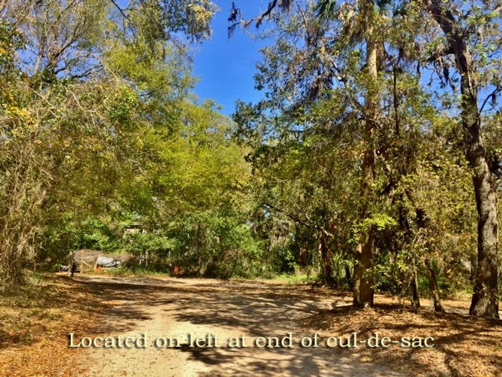 Photo of 713 Sandpiper Ridge Road, Edisto Island, SC 29438 (MLS # 25032191)