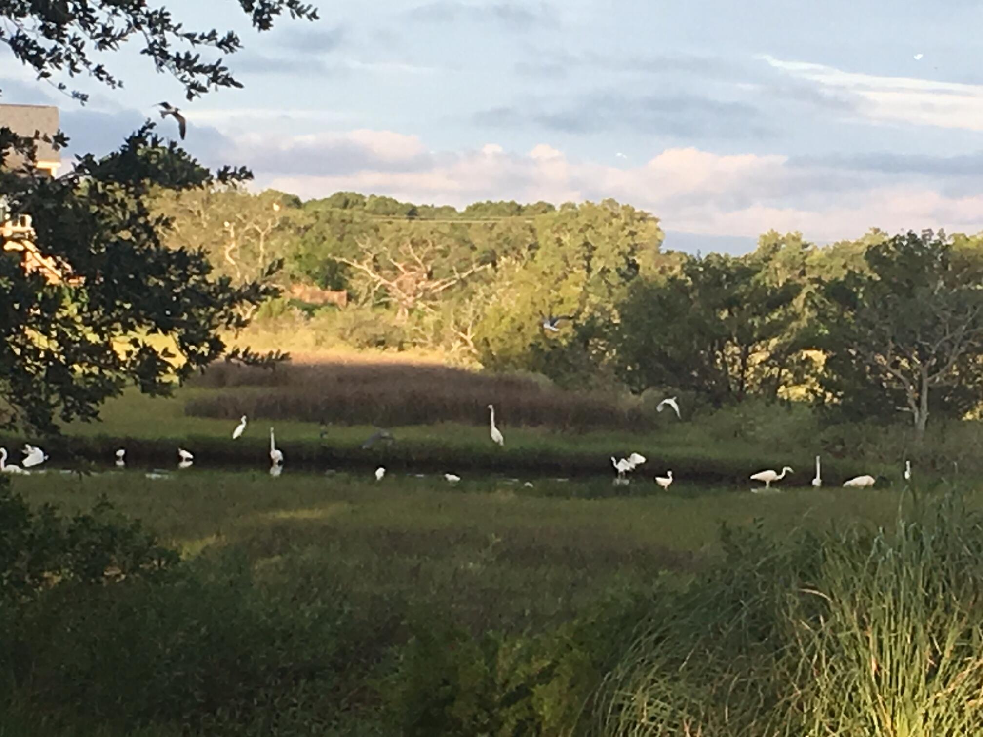 1626 Teal Marsh Road A