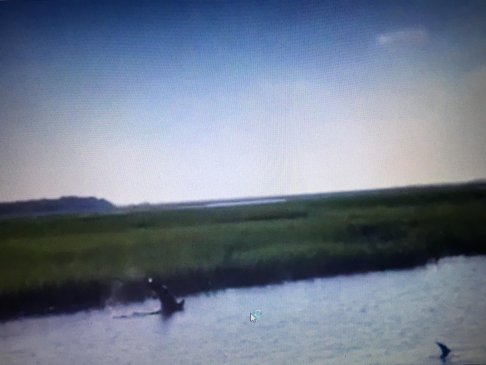 1626 Teal Marsh Road A