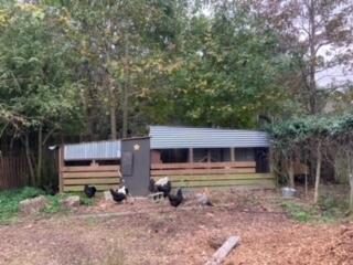 1661 Lonnie Taylor Lane