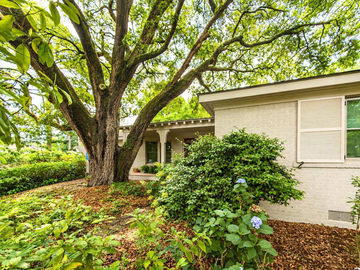 971 Cliffwood Drive