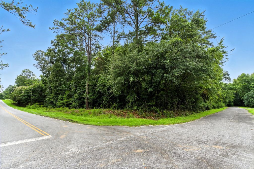 Photo of 100 Wilton Drive, Summerville, SC 29483 (MLS # 26003405)