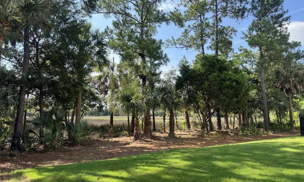 Photo of 804 Kings Oak Court #1, Charleston, SC 29492 (MLS # 26019459)