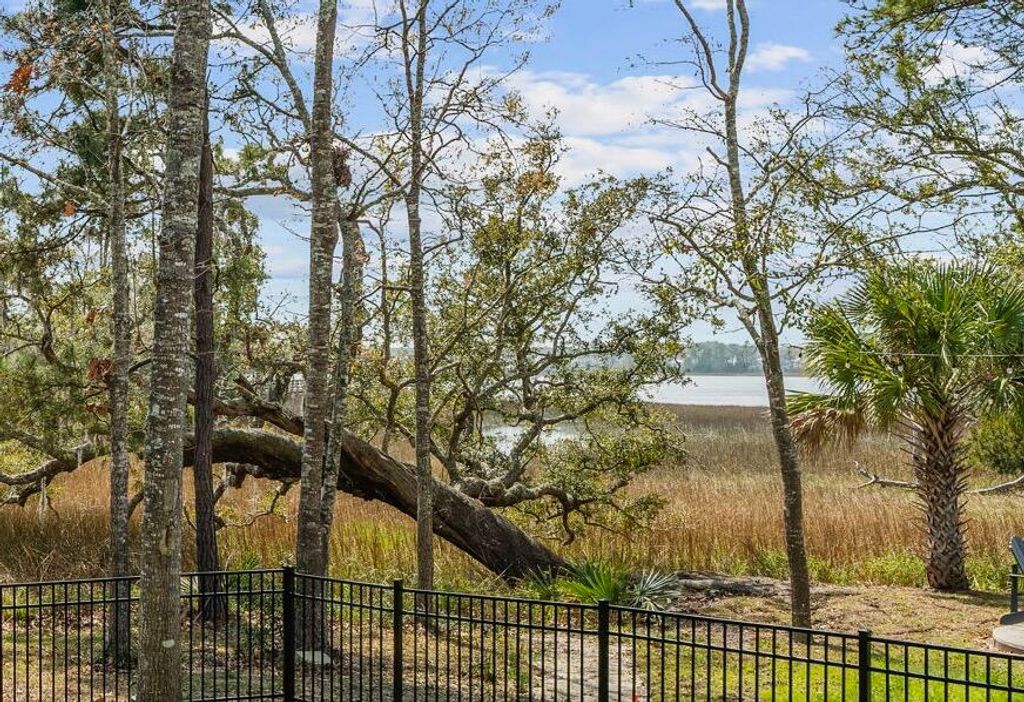 Photo of 132 Low Tide Court, Charleston, SC 29492 (MLS # 26006925)