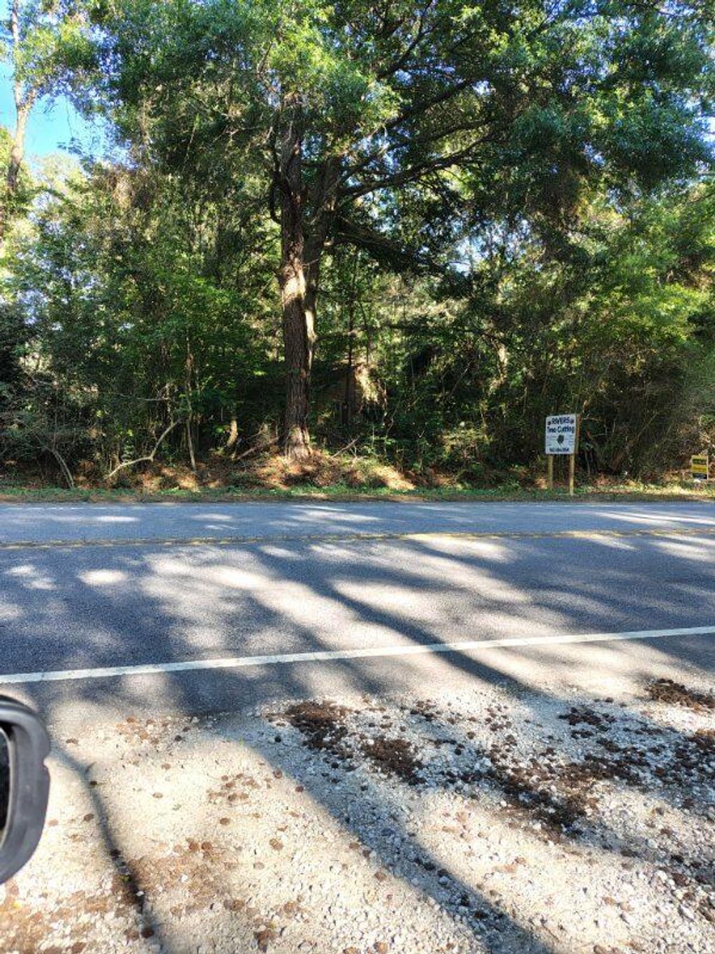 Photo of 0 Bohicket Road, Johns Island, SC 29455 (MLS # 26014688)