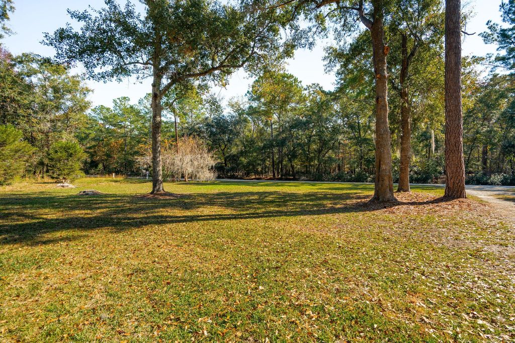 Photo of 4143 Cobbler Drive, Meggett, SC 29449 (MLS # 25029904)