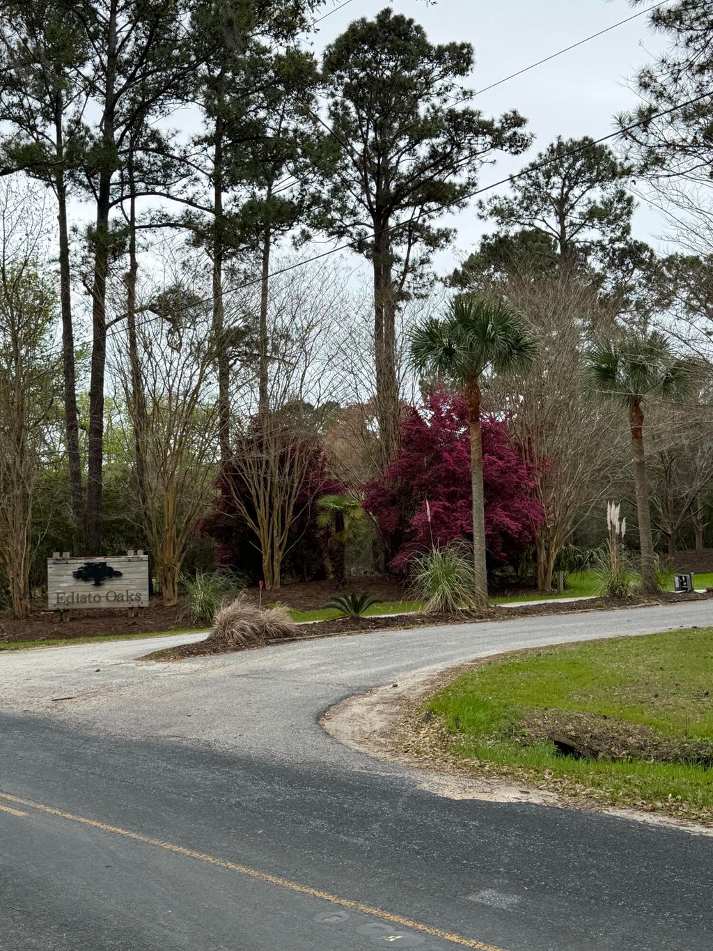 Photo of 49 Seaside Lane, Edisto Island, SC 29438 (MLS # 26007408)