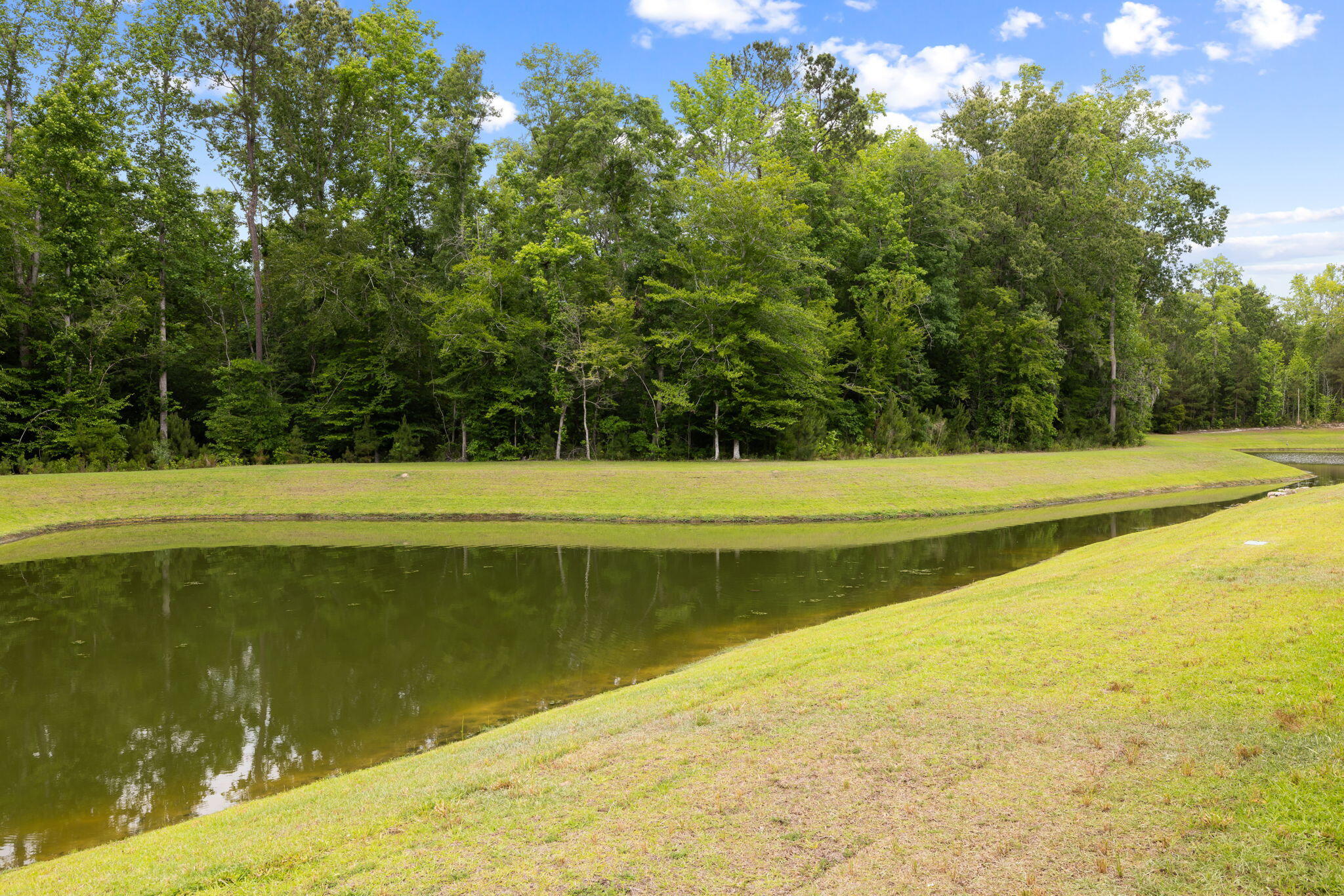 167 Cherry Grove Drive