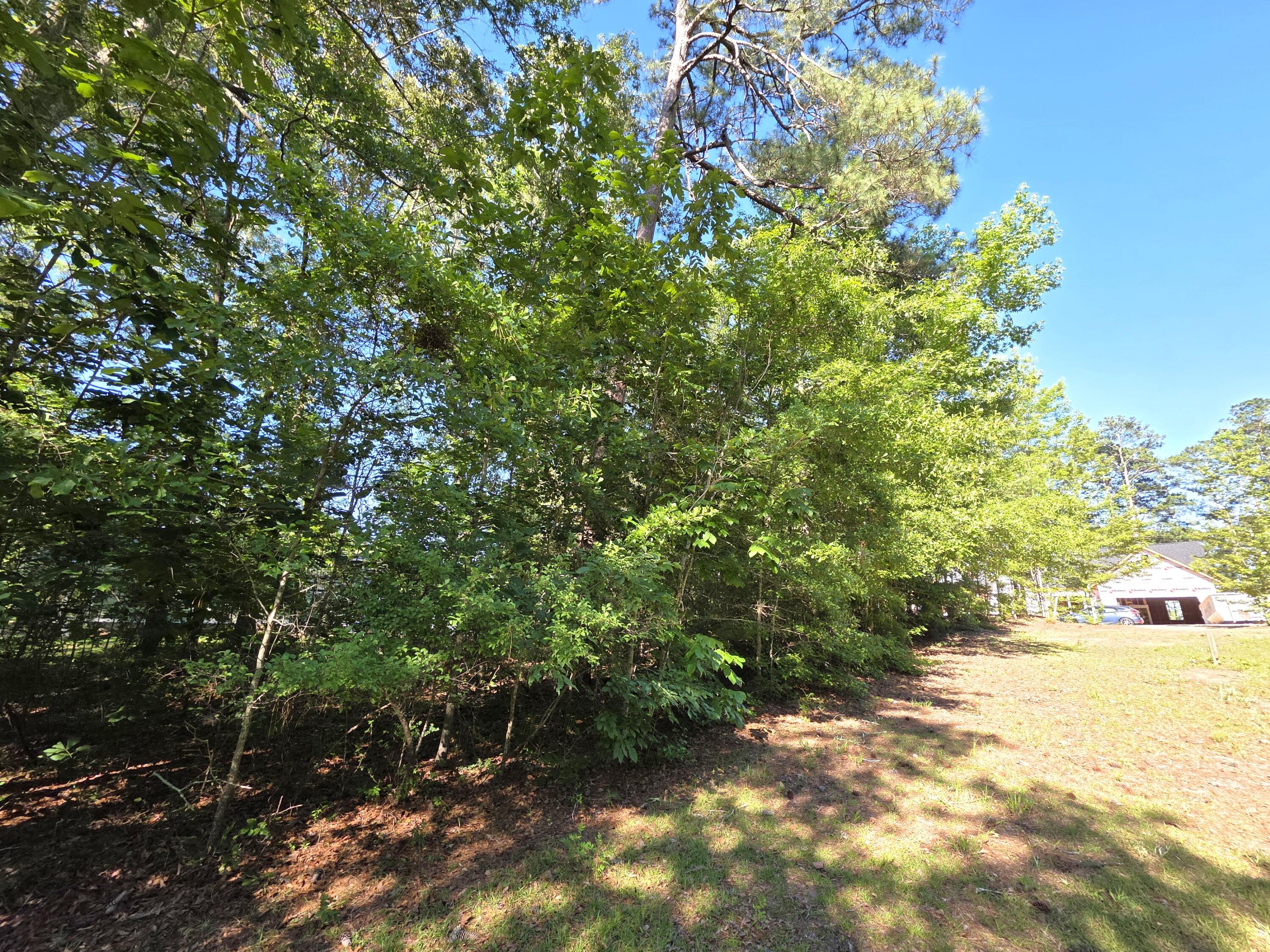 620 Plantation Drive