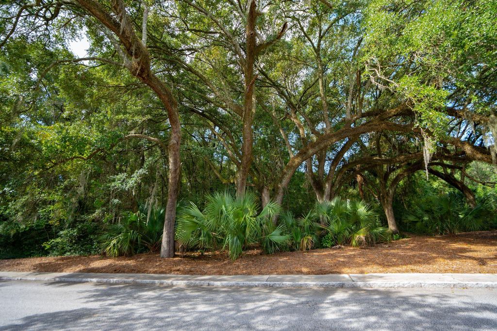 Photo of Charleston, SC 29492 (MLS # 25026152)