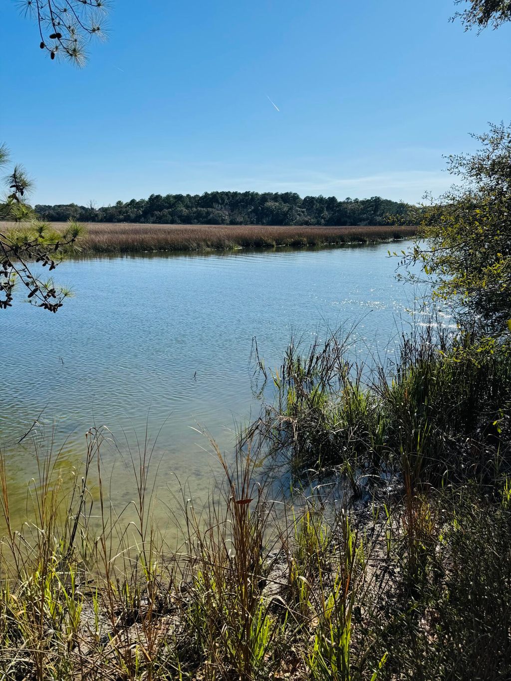 Photo of 00 Rosa Scott Road, Edisto Island, SC 29438 (MLS # 26005932)