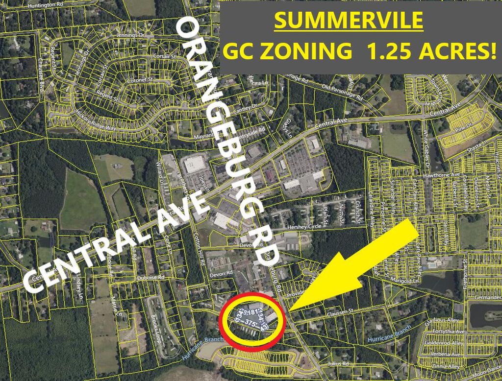 Photo of 0 Orangeburg Road, Summerville, SC 29483 (MLS # 25007699)